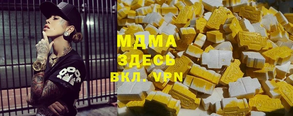 гашик Алексин