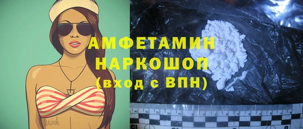 гашик Алексин