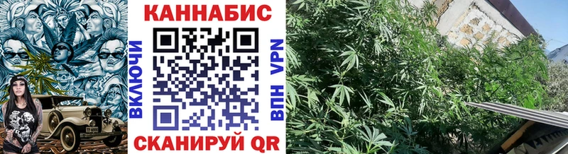 купить цена сайты даркнета Telegram Бошки марихуана VHQ Николаевск